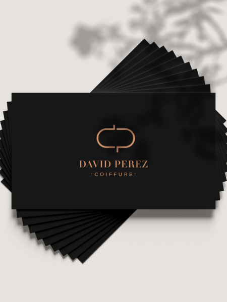 Carte de visite David Perez